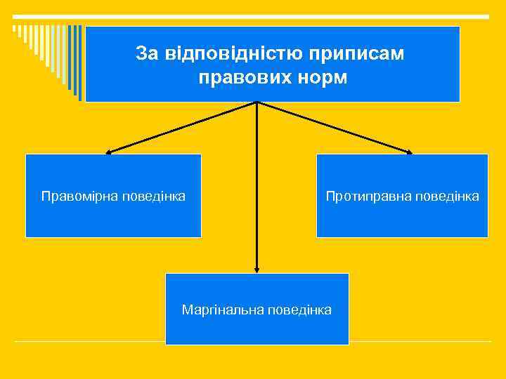 За відповідністю приписам правових норм Правомірна поведінка Протиправна поведінка Маргінальна поведінка 