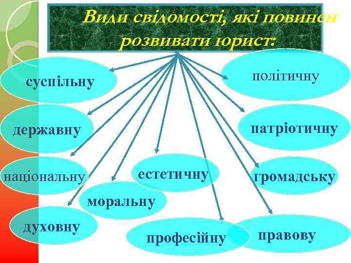 Види свідомості, які повинен розвивати юрист: політичну суспільну патріотичну державну національну естетичну громадську моральну