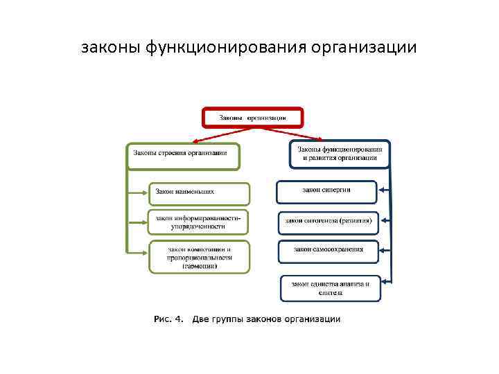 Жизнедеятельность организации. Порядок функционирования предприятия. К закономерностям функционирования авторитета относятся. Законы функционирования авторитета. Законы функционирования авторитета иррадиации.