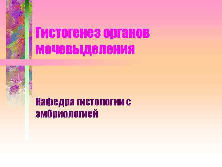 Гистогенез органов мочевыделения Кафедра гистологии с эмбриологией 