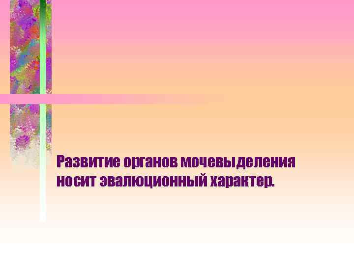 Развитие органов мочевыделения носит эвалюционный характер. 