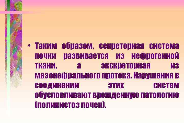 • Таким образом, секреторная система почки развивается из нефрогенной ткани, а экскреторная из