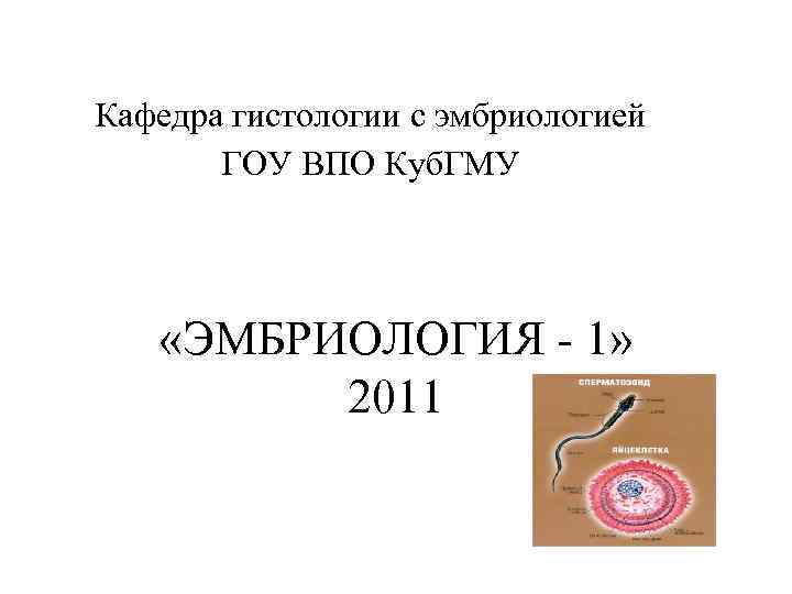 Кафедра гистологии с эмбриологией ГОУ ВПО Куб. ГМУ «ЭМБРИОЛОГИЯ - 1» 2011 