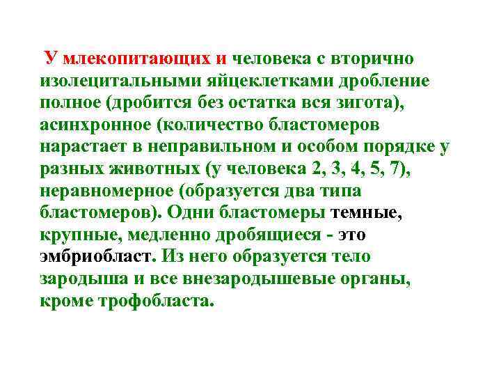 У млекопитающих и человека с вторично изолецитальными яйцеклетками дробление полное (дробится без остатка вся