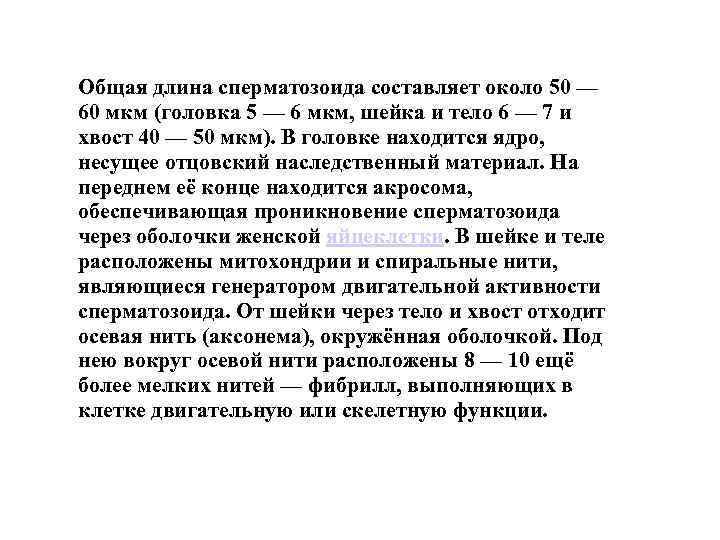 Общая длина сперматозоида составляет около 50 — 60 мкм (головка 5 — 6 мкм,