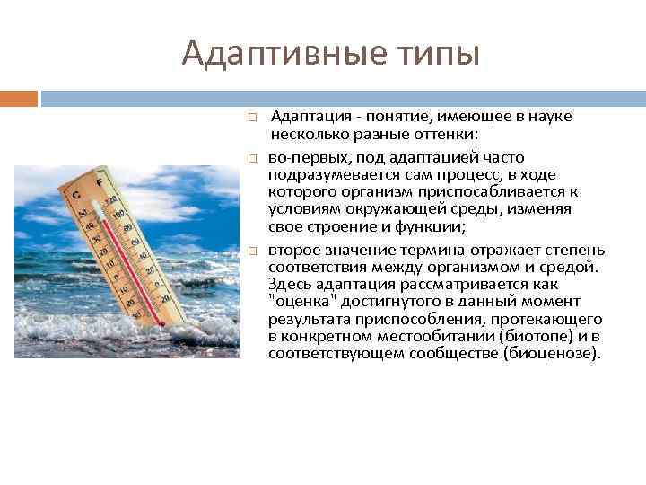 Адаптивные типы Адаптация - понятие, имеющее в науке несколько разные оттенки: во-первых, под адаптацией