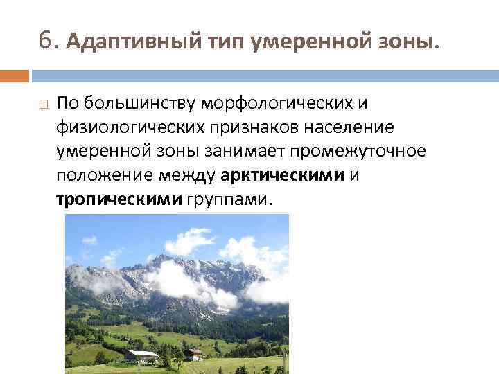 6. Адаптивный тип умеренной зоны. По большинству морфологических и физиологических признаков население умеренной зоны