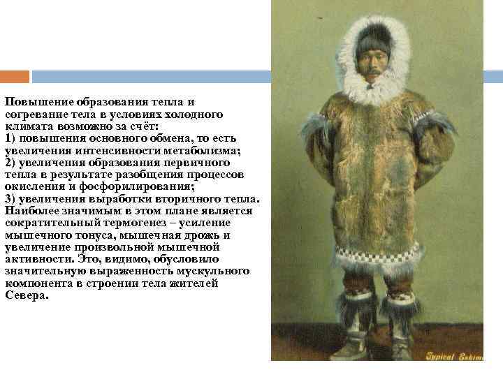 Повышение образования тепла и согревание тела в условиях холодного климата возможно за счёт: 1)