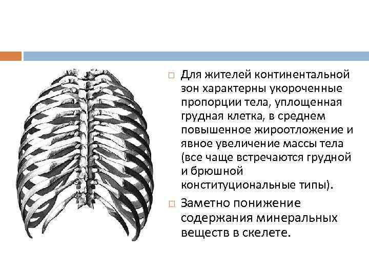  Для жителей континентальной зон характерны укороченные пропорции тела, уплощенная грудная клетка, в среднем