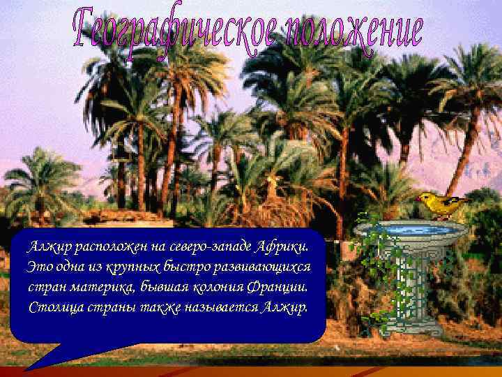 Алжир расположен на северо-западе Африки. Это одна из крупных быстро развивающихся стран материка, бывшая