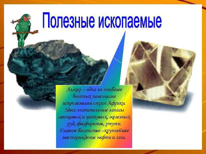 Алжир – одна из наиболее богатых полезными ископаемыми стран Африки. Здесь значительные запасы свинцовых