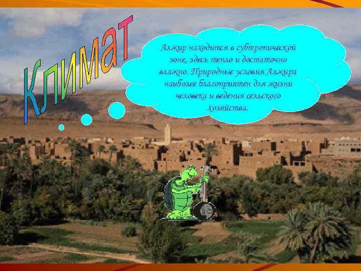 Алжир находится в субтропической зоне, здесь тепло и достаточно влажно. Природные условия Алжира наиболее