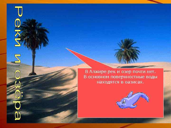 В Алжире рек и озер почти нет. В основном поверхностные воды находятся в оазисах.