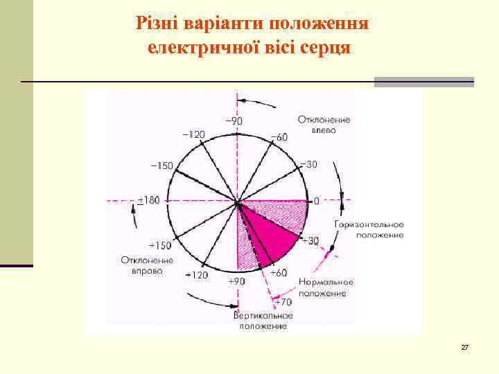 Різні варіанти положення електричної вісі серця 27 