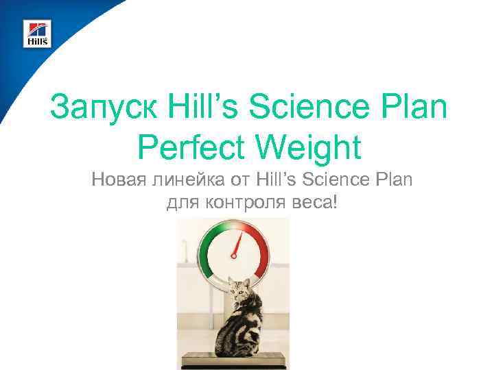 Запуск Hill’s Science Plan Perfect Weight Новая линейка от Hill’s Science Plan для контроля