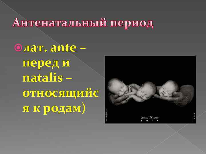 Антенатальный период. Антенатальный период презентация. Заключение по антенатальному периоду. Периоды антенатального развития плода презентация. Антенатальный период реферат.