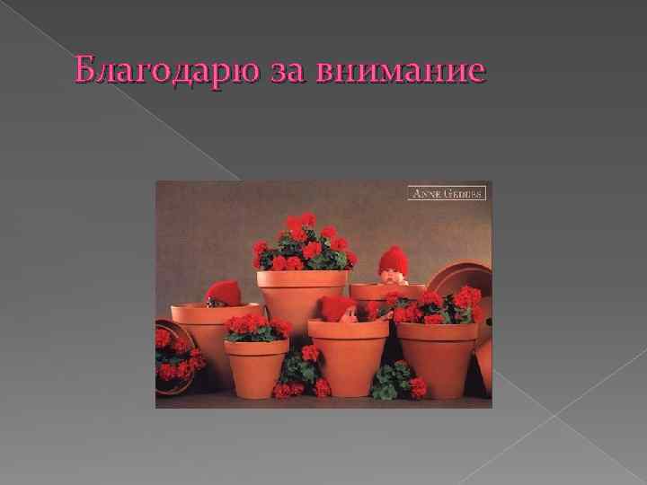 Благодарю за внимание 