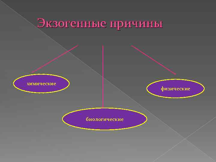 Экзогенные причины химические физические биологические 