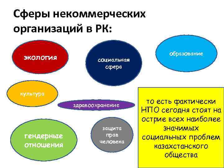Сферы некоммерческих организаций в РК: экология социальная сфера культура здравоохранение гендерные отношения защита прав