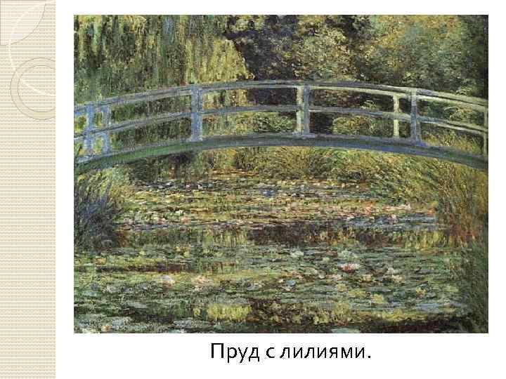 Пруд с лилиями. 