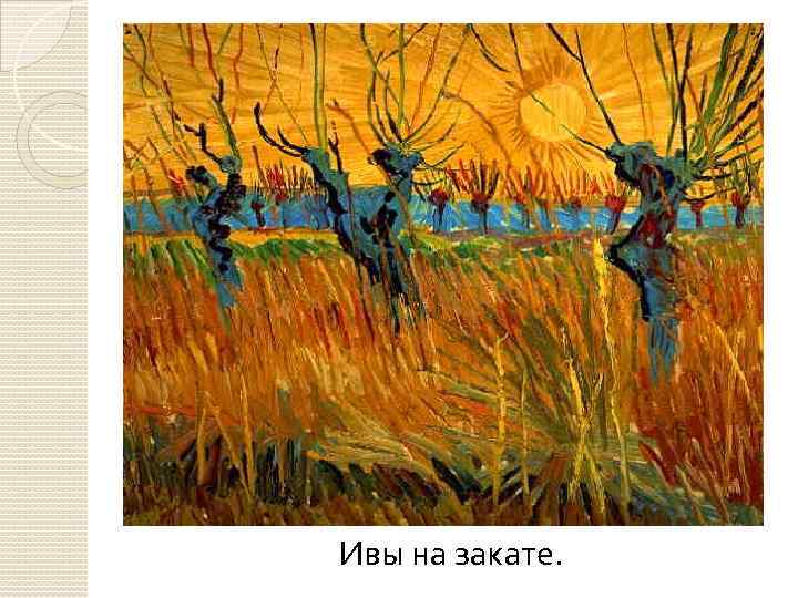 Ивы на закате. 