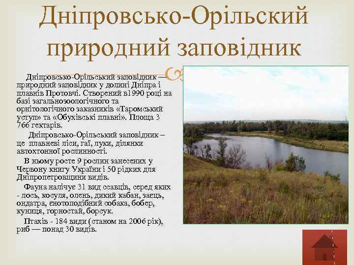 Дніпровсько-Орільский природний заповідник Дніпровсько-Орільський заповідник — природний заповідник у долині Дніпра і плавнів Протовчі.
