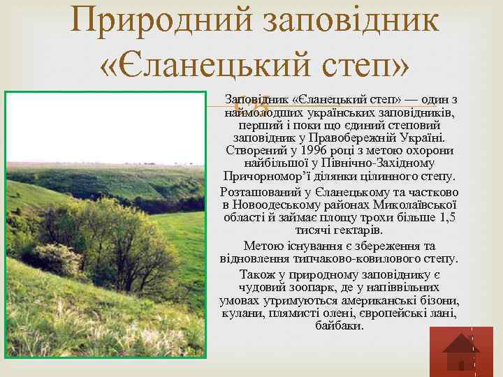 Природний заповідник «Єланецький степ» Заповідник «Єланецький степ» — один з наймолодших українських заповідників, перший