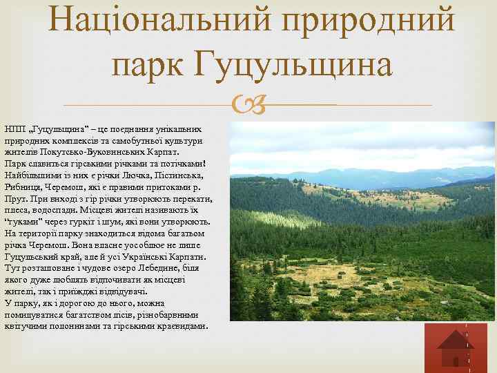 Національний природний парк Гуцульщина НПП „Гуцульщина” – це поєднання унікальних природних комплексів та самобутньої