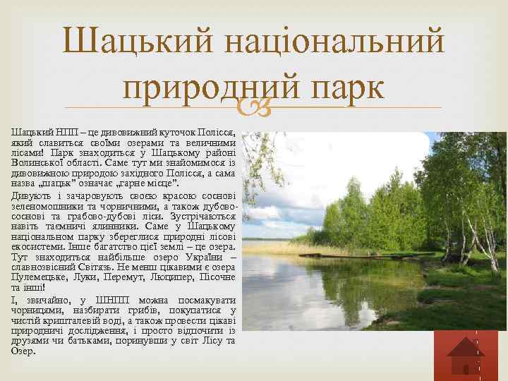 Шацький національний природний парк Шацький НПП – це дивовижний куточок Полісся, який славиться своїми