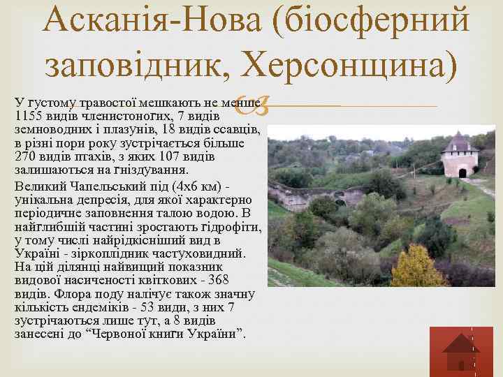 Асканія-Нова (біосферний заповідник, Херсонщина) У густому травостої мешкають не менше 1155 видів членистоногих, 7