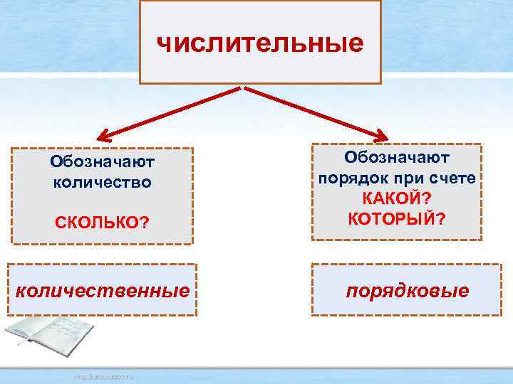 числительные Обозначают количество СКОЛЬКО? количественные Обозначают порядок при счете КАКОЙ? КОТОРЫЙ? порядковые 