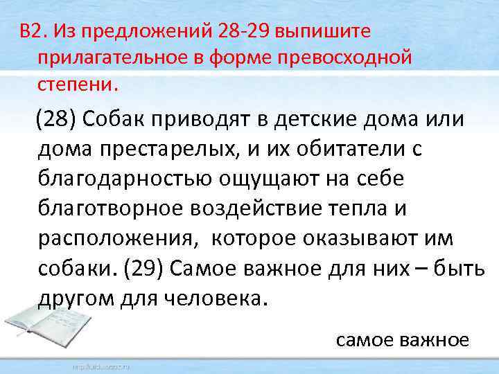 В 2. Из предложений 28 -29 выпишите прилагательное в форме превосходной степени. (28) Собак