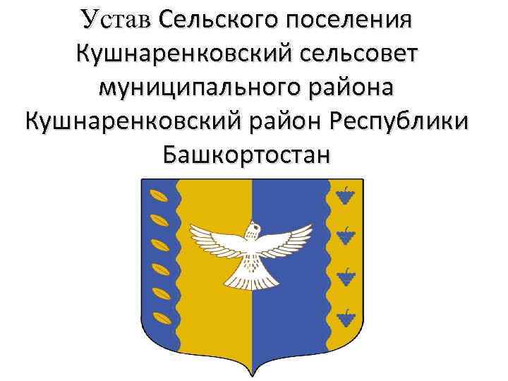 Устав Сельского поселения Кушнаренковский сельсовет муниципального района Кушнаренковский район Республики Башкортостан 