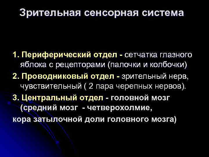 Зрительная сенсорная система 1. Периферический отдел - сетчатка глазного яблока с рецепторами (палочки и