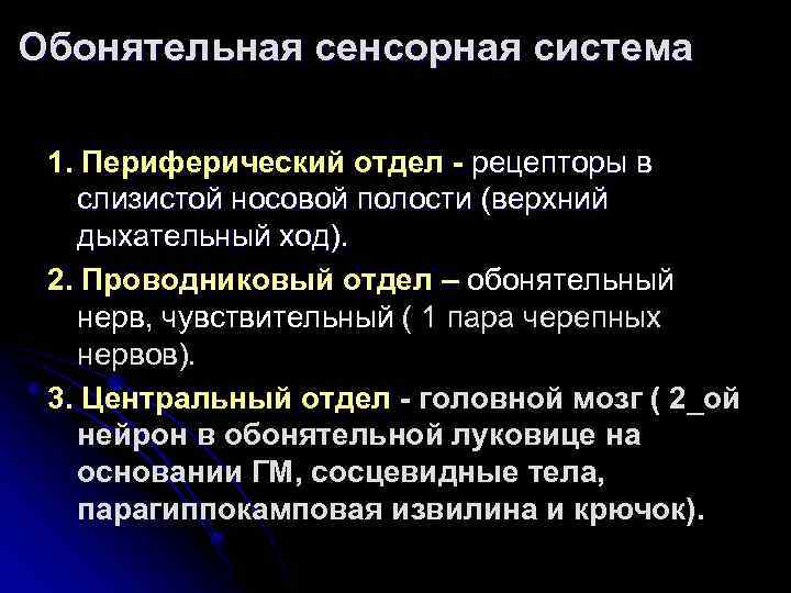 Обонятельная сенсорная система 1. Периферический отдел - рецепторы в слизистой носовой полости (верхний дыхательный