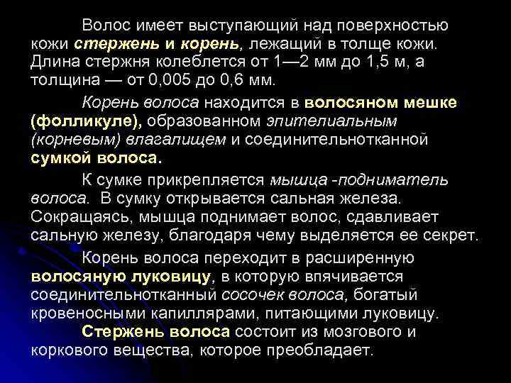 Волос имеет выступающий над поверхностью кожи стержень и корень, лежащий в толще кожи. Длина