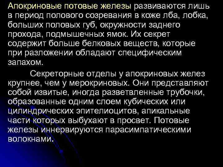 Апокриновые потовые железы развиваются лишь в период полового созревания в коже лба, лобка, больших