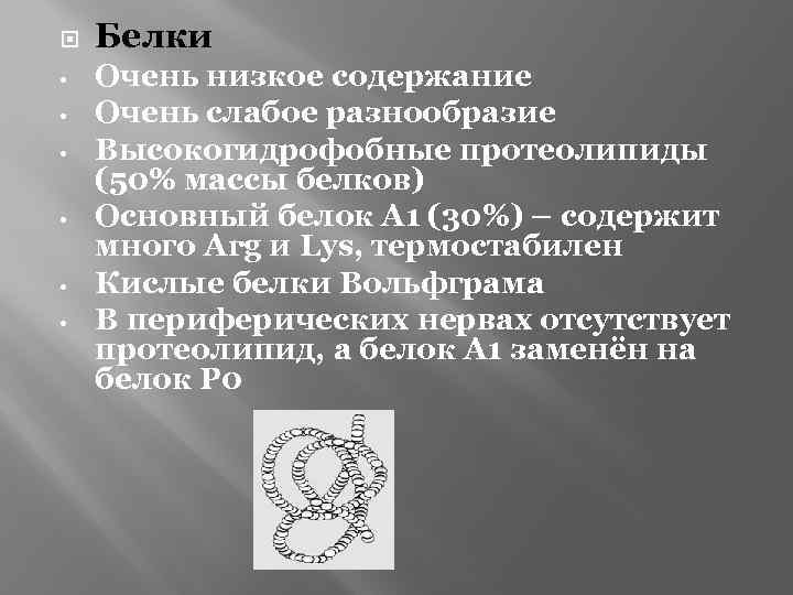  • • • Белки Очень низкое содержание Очень слабое разнообразие Высокогидрофобные протеолипиды (50%