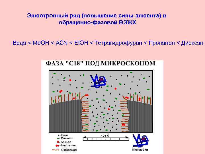 Элюотропный ряд (повышение силы элюента) в обращенно-фазовой ВЭЖХ Вода < Me. OH < ACN