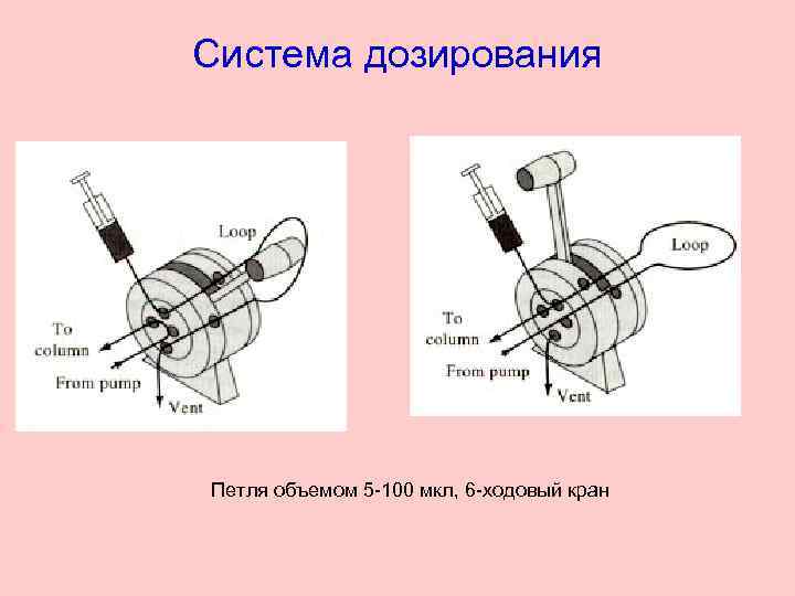 Система дозирования Петля объемом 5 -100 мкл, 6 -ходовый кран 