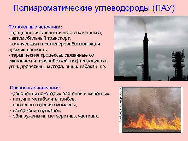 Полиароматические углеводороды (ПАУ) Техногенные источники: -предприятия энергетического комплекса, - автомобильный транспорт, - химическая и