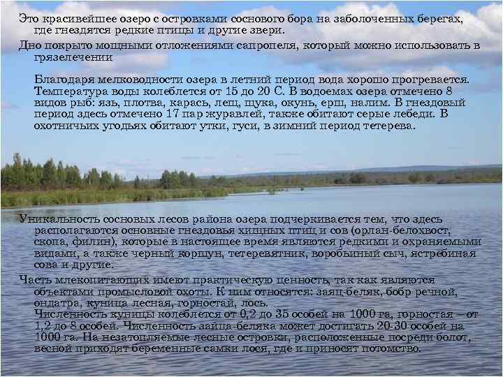 Это красивейшее озеро с островками соснового бора на заболоченных берегах, где гнездятся редкие птицы