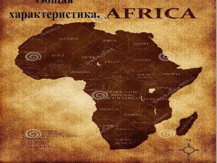 Общая характеристика. 