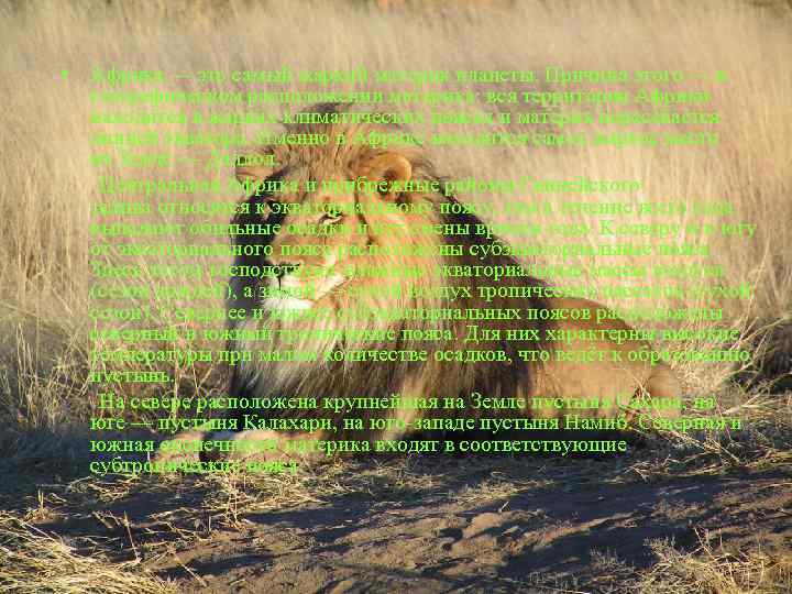  • Африка — это самый жаркий материк планеты. Причина этого — в географическом