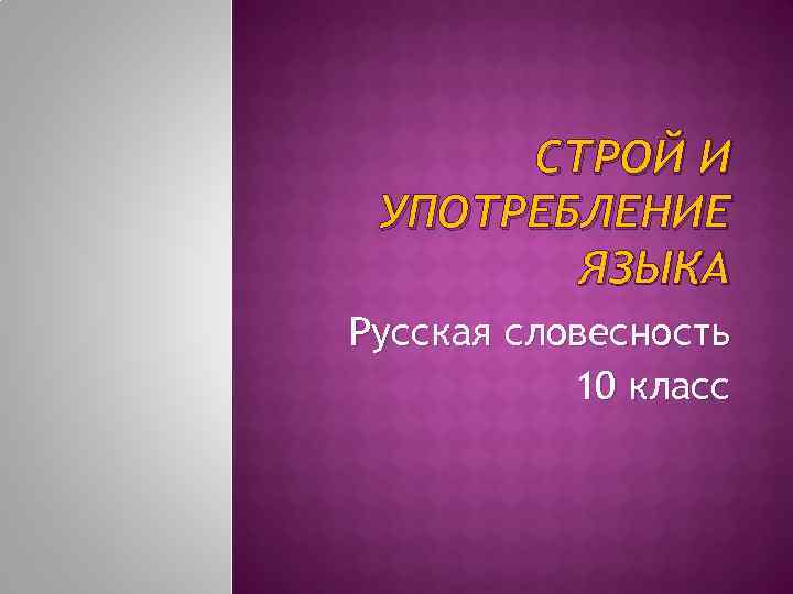 СТРОЙ И УПОТРЕБЛЕНИЕ ЯЗЫКА Русская словесность 10 класс 
