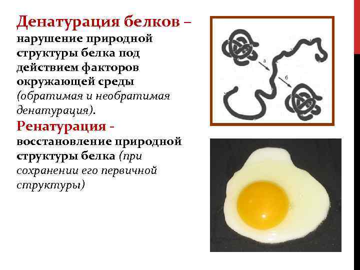 Процессы денатурации белков