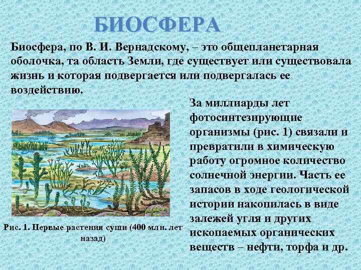 БИОСФЕРА Биосфера, по В. И. Вернадскому, – это общепланетарная оболочка, та область Земли, где