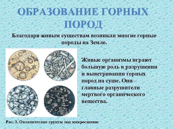 ОБРАЗОВАНИЕ ГОРНЫХ ПОРОД Благодаря живым существам возникли многие горные породы на Земле. Живые организмы