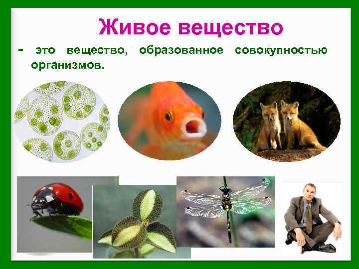 - Живое вещество, образованное совокупностью это организмов. 