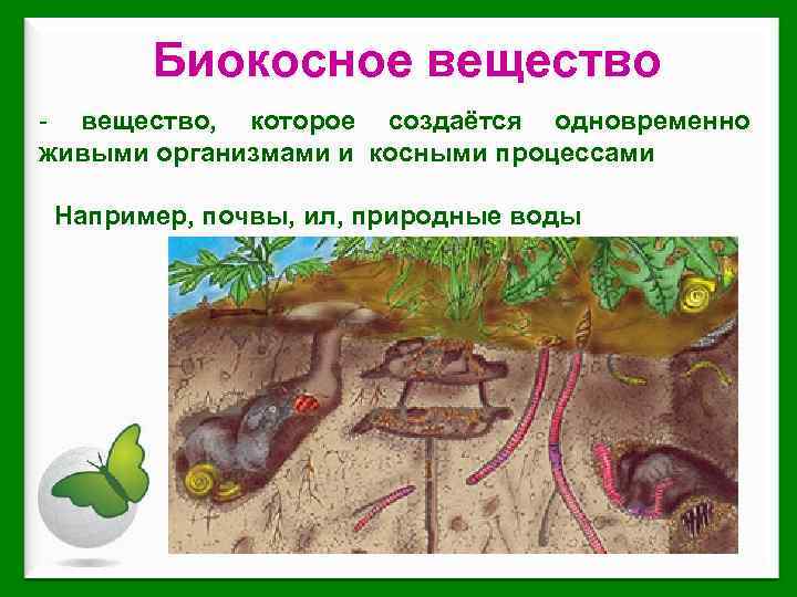 Биокосное вещество - вещество, которое создаётся одновременно живыми организмами и косными процессами Например, почвы,